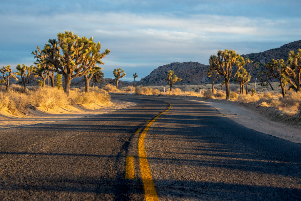 Road Through Joshua Tree National Park